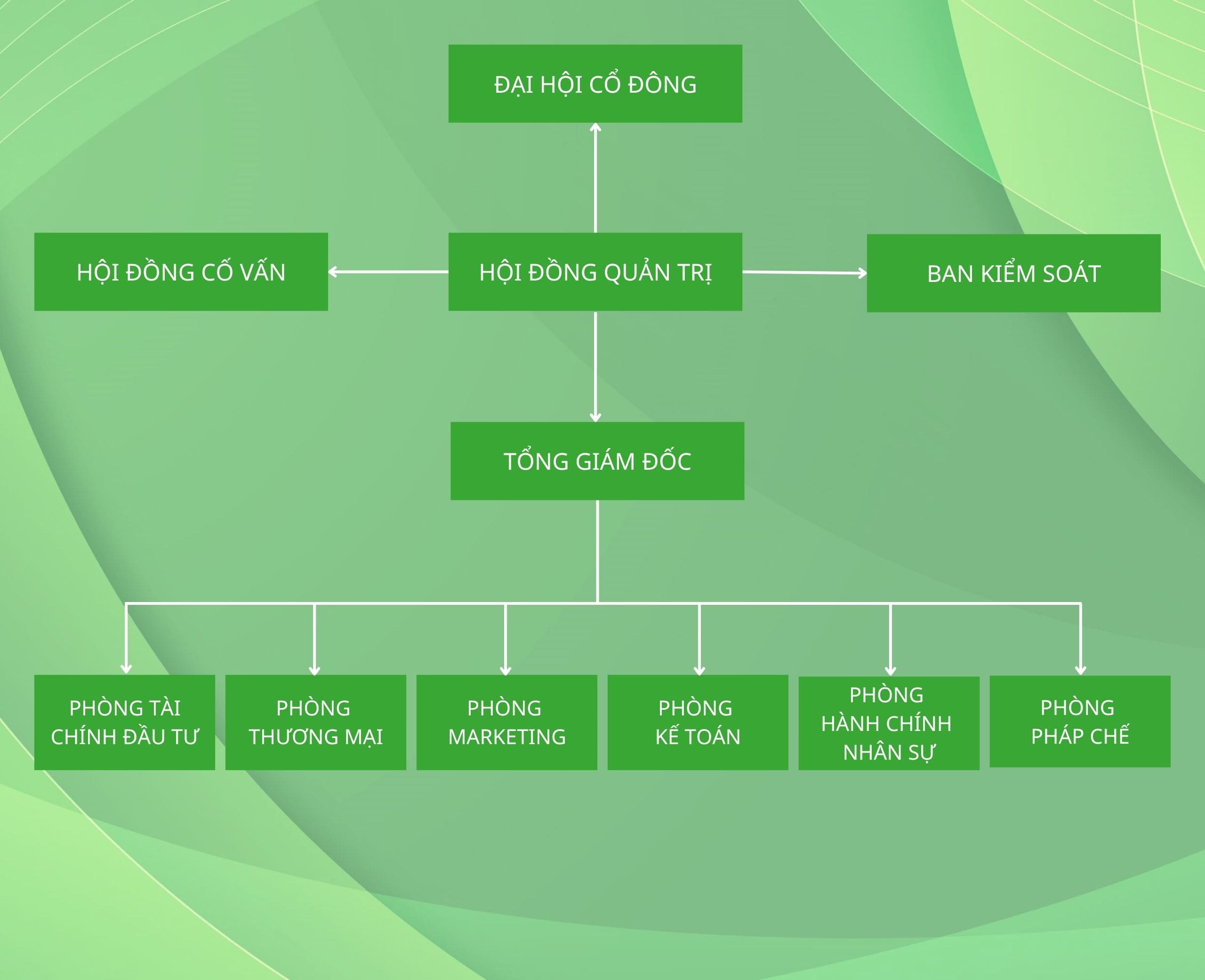 Cơ cấu tổ chức